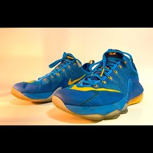Lebron 12 low entourage rare